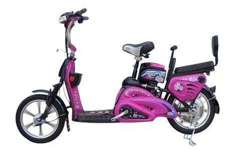 網購一個裸電動車,自己在實體店買電瓶,各位覺得如何