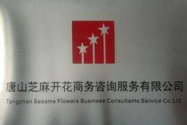 唐山芝麻開(kāi)花商務(wù)咨詢服務(wù)